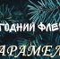 Позитива и счастливых моментов в Новом году пожелали «Карамельки» целинцам - DeltaCelina.Ru