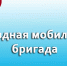 Работает мобильная бригада - DeltaCelina.Ru