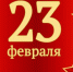 Флешмоб «Дембельский альбом», посвященный Дню защитника Отечества, завершен! - DeltaCelina.Ru