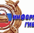 Воспользоваться госуслугами - не выходя из дома - ОМВД Целинского района 
