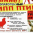 На территории Целинского района по результатам лабораторных исследований лаборатории по диагностике АЧС(африканская чума свиней) и других особо опасных заболевание животных ФГБУ «Ростовский референтный центр Россельхознадзора», протокол испытаний № 02487 от 22 августа 2022 года зарегистрирован высокопатогенный грипп птиц в Юловском сельском поселении в личном подсобном хозяйстве. - Целинский район