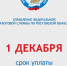 Оплатите налоги — до 1 декабря - DeltaCelina.Ru