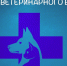 С праздником, ветеринары! - DeltaCelina.Ru