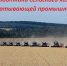 С праздником, дорогие наши аграрии! - DeltaCelina.Ru