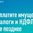 Пришло время уплаты имущественных налогов за 2023 год - DeltaCelina.Ru