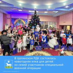 В Целинском РДК состоялась новогодняя елка для детей из семей участников специальной военной операции.