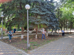 Летний сезон в Целине открылся субботниками