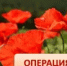 Межведомственная комплексная оперативно-профилактическая операция "Мак-2025" - Целинский район