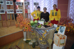 Вспомнить всех: в Целинском районе представили выставку достижений и рассказали о заслуженных тружениках района