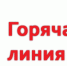 Для целинцев серебряного возраста работает горячая линия - DeltaCelina.Ru