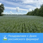 На территории Целинского района зарегистрировано более 250 крестьянских (фермерских) хозяйств.