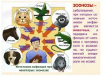 6 июля – Всемирный день зоонозных заболеваний